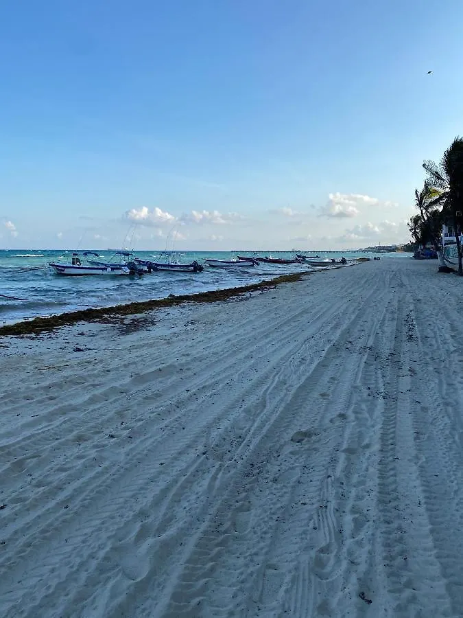 Ferienwohnung Blue Angel 1 Aunos Pasos De La 5 Av Playa del Carmen 0*,