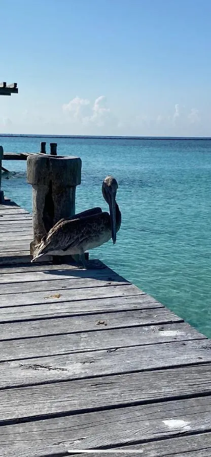 Blue Angel 1 Apartment Playa del Carmen 0*,